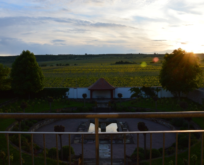 Mainz& Mainz&-Reportage: Das Gefühl des Herrn Raumland für Champagner Mainz&-Reportage: Das Gefühl des Herrn Raumland für Champagner