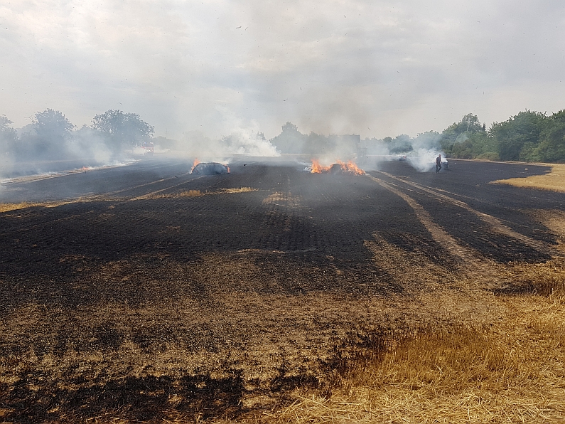 Mainz& Hohe Brandgefahr auch in Mainz – Gefährdet Wälder, aber auch Wiesen und Felder – Brände durch Glasflaschen, Zigaretten oder Katalysatoren Hohe Brandgefahr auch in Mainz – Gefährdet Wälder, aber auch Wiesen und Felder – Brände durch Glasflaschen, Zigaretten oder Katalysatoren