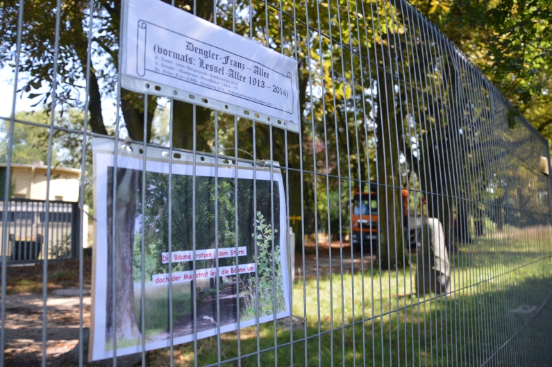 Mainz& Baumschützer Lesselallee: "Hier droht Kostheim 21" Baumschützer Lesselallee: "Hier droht Kostheim 21"