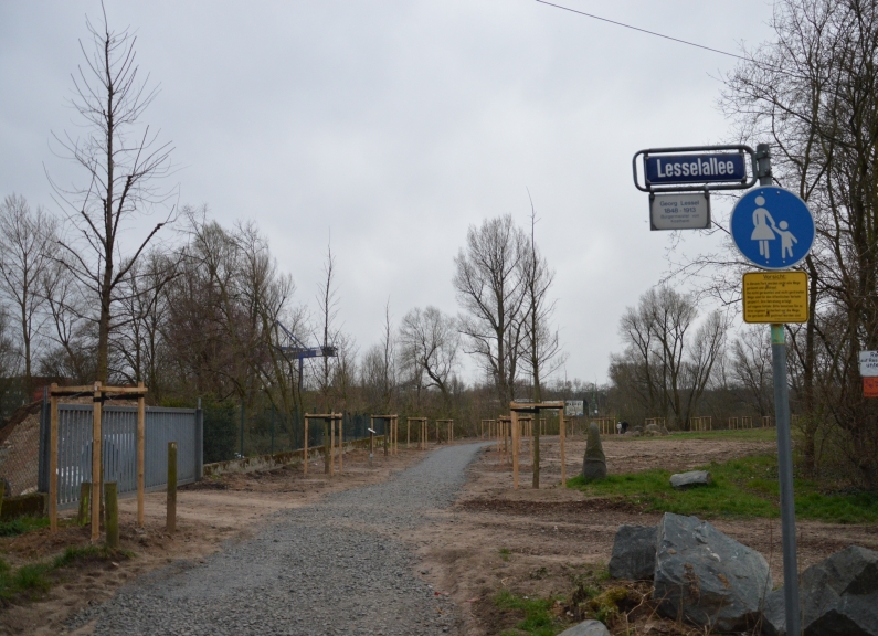 Mainz& "Das ist eine zerstörte Landschaft" - Vor einem Jahr begann das Drama um die Lesselallee "Das ist eine zerstörte Landschaft" - Vor einem Jahr begann das Drama um die Lesselallee