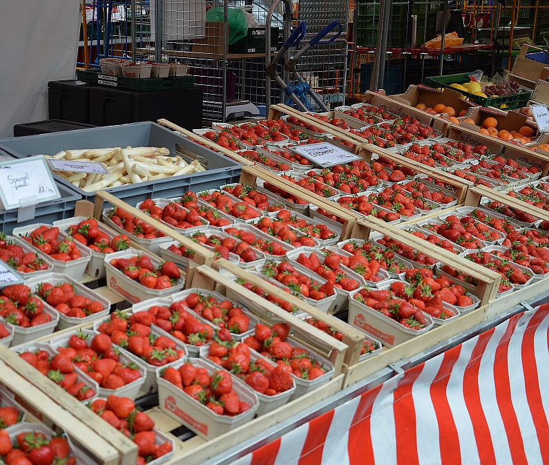 Mainz& Obstdiebe plündern Plantagen rund um Mainz - Polizei und Landwirte gehen mit neuem Konzept dagegen vor - Auch kleine Mengen sind Diebstahl Obstdiebe plündern Plantagen rund um Mainz - Polizei und Landwirte gehen mit neuem Konzept dagegen vor - Auch kleine Mengen sind Diebstahl