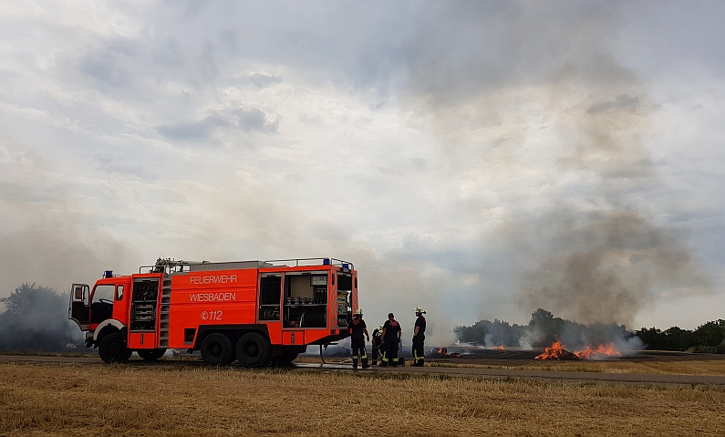 Mainz& Hohe Brandgefahr auch in Mainz – Gefährdet Wälder, aber auch Wiesen und Felder – Brände durch Glasflaschen, Zigaretten oder Katalysatoren Hohe Brandgefahr auch in Mainz – Gefährdet Wälder, aber auch Wiesen und Felder – Brände durch Glasflaschen, Zigaretten oder Katalysatoren