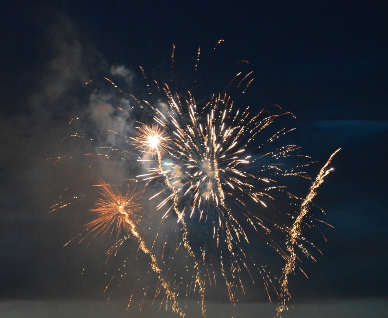Mainz& Silvesterfeuerwerk - schädlich oder schön? Debatte über Umweltschädlichkeit und Verbote der Knallerei zum Jahresende Silvesterfeuerwerk - schädlich oder schön? Debatte über Umweltschädlichkeit und Verbote der Knallerei zum Jahresende