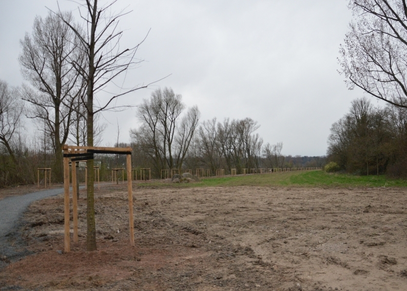 Mainz& "Das ist eine zerstörte Landschaft" - Vor einem Jahr begann das Drama um die Lesselallee "Das ist eine zerstörte Landschaft" - Vor einem Jahr begann das Drama um die Lesselallee