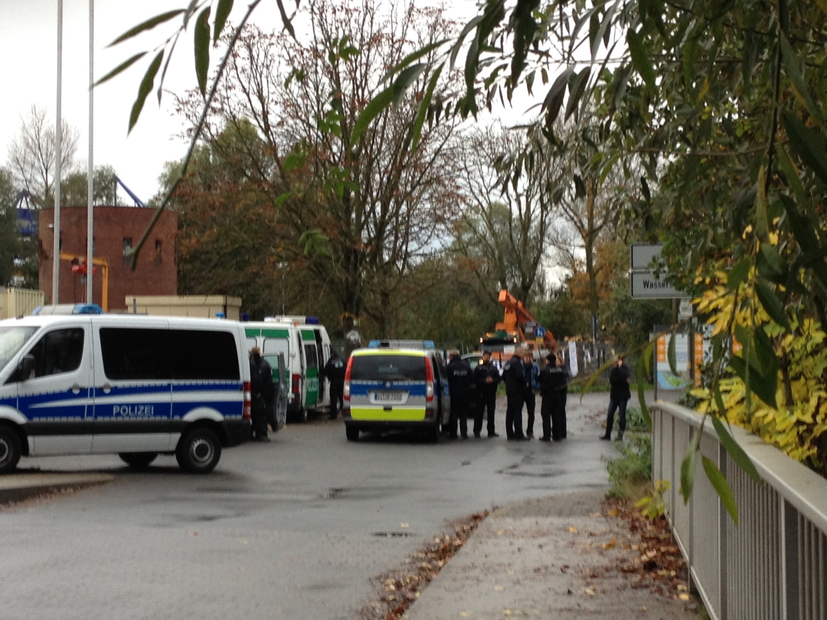 Fällung Lesselallee 1