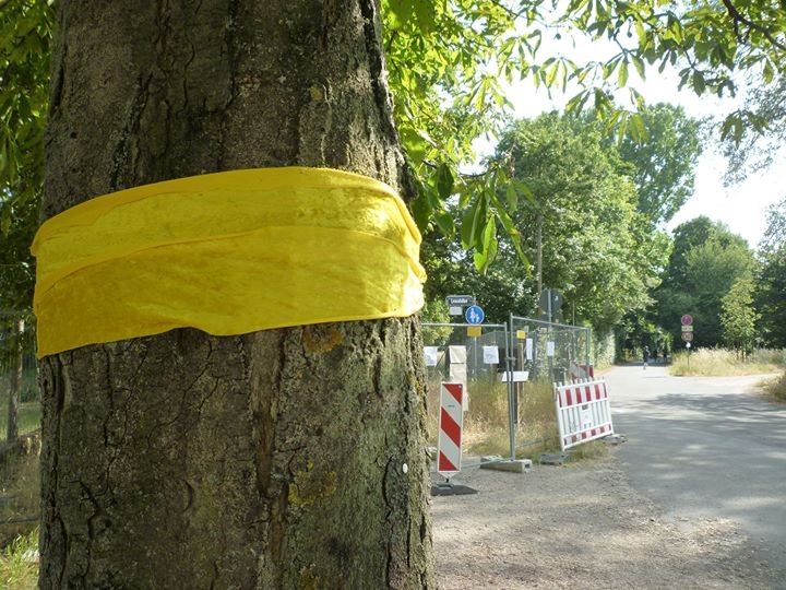 Mainz& Lesselallee: Gelbes Band für Erhalt der Kastanien Lesselallee: Gelbes Band für Erhalt der Kastanien