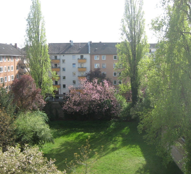 Mainz& Pappeln brennen in der Neustadt - Hauptbahnhof kurz gesperrt Pappeln brennen in der Neustadt - Hauptbahnhof kurz gesperrt