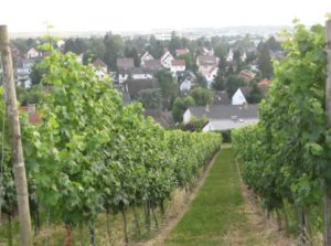Mainz& 22. bis 25. Mai: Freibad Maaraue, Weinwanderung Ebersheim und Reiterei in Wiesbaden 22. bis 25. Mai: Freibad Maaraue, Weinwanderung Ebersheim und Reiterei in Wiesbaden