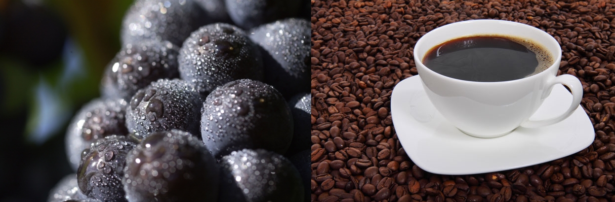 Mainz& "Sauvignon Arabica": Neue Traubensorte mit Koffein gezüchtet - Am 1. April bekannt gegeben "Sauvignon Arabica": Neue Traubensorte mit Koffein gezüchtet - Am 1. April bekannt gegeben