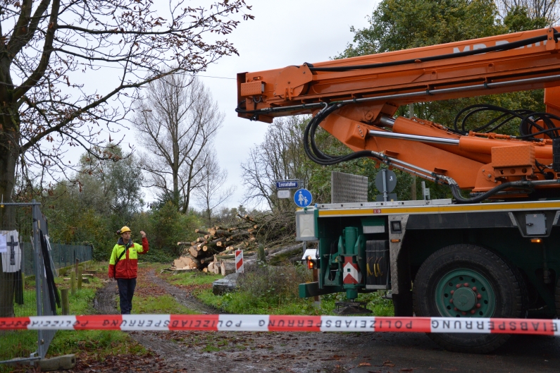 Kran rollt rückwärts in Lesselallee - Foto: gik