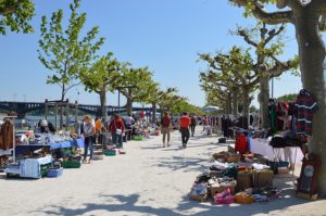 Mainz& Mainzer Krempelmarkt fällt bis September weiter aus - Städtische Sporthallen öffnen für Gymnastiksportarten Mainzer Krempelmarkt fällt bis September weiter aus - Städtische Sporthallen öffnen für Gymnastiksportarten