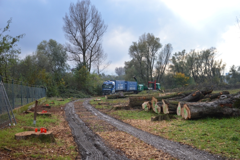 Leere Alleenzufahrt mit Holzlaster fern