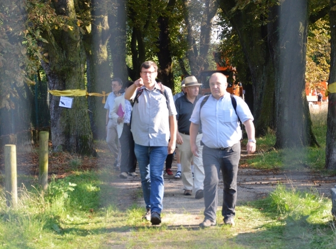 Mainz& Umweltverband klagt gegen Zerstörung der Lesselallee Umweltverband klagt gegen Zerstörung der Lesselallee