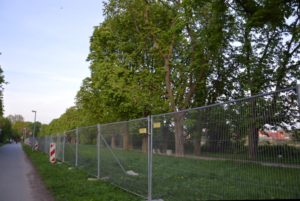 Mainz& "Als würde man den Dom fällen": Protest gegen Aus für Kastanienallee "Als würde man den Dom fällen": Protest gegen Aus für Kastanienallee