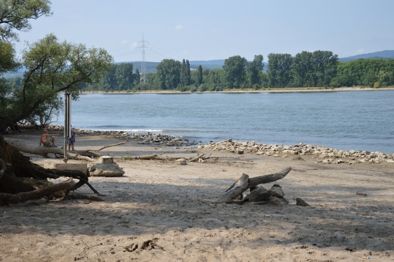 Mainz& Mombacher Rheinstrand: Überrannt und zugemüllt – Schilder sollen helfen Mombacher Rheinstrand: Überrannt und zugemüllt – Schilder sollen helfen