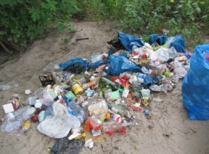 Schon 2015 klagte die Stadt Mainz über Müllberge am Mombacher Rheinstrand, 2020 ist das noch schlimmer geworden. - Foto: gik