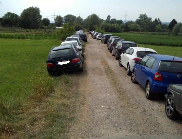 Mainz& Mombacher Rheinstrand: Überrannt und zugemüllt – Schilder sollen helfen Mombacher Rheinstrand: Überrannt und zugemüllt – Schilder sollen helfen