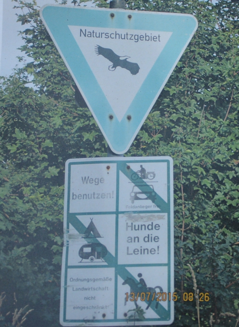 Mainz& Mombacher Rheinstrand: Überrannt und zugemüllt – Schilder sollen helfen Mombacher Rheinstrand: Überrannt und zugemüllt – Schilder sollen helfen