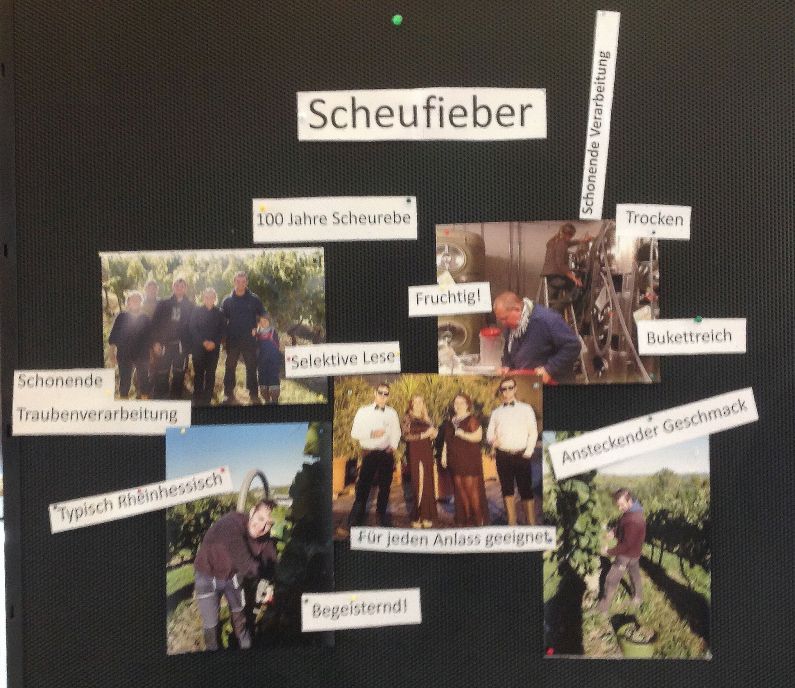 Mainz& Jeder Schluck ein Geheimnis - Scheurebe feiert zum 100. Geburtstag Renaissance Jeder Schluck ein Geheimnis - Scheurebe feiert zum 100. Geburtstag Renaissance