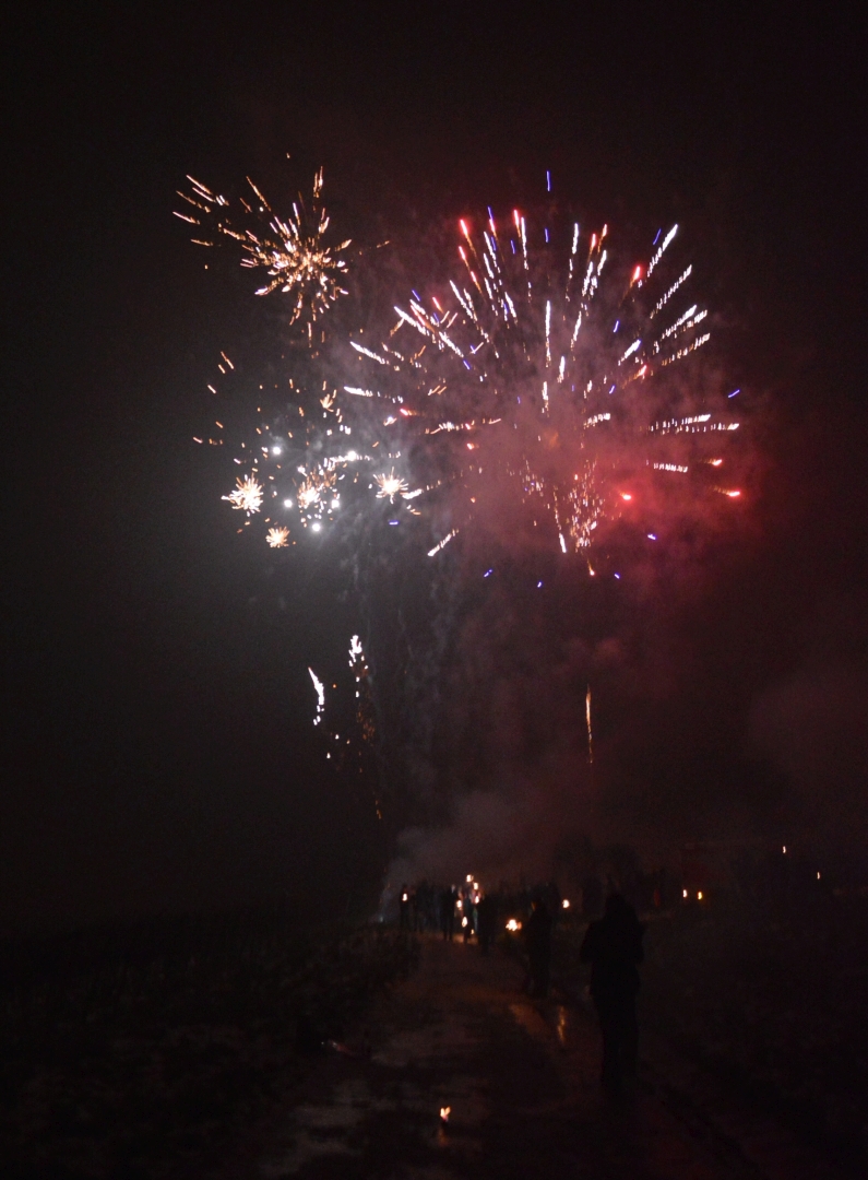 Mainz& Silvesterfeuerwerk - schädlich oder schön? Debatte über Umweltschädlichkeit und Verbote der Knallerei zum Jahresende Silvesterfeuerwerk - schädlich oder schön? Debatte über Umweltschädlichkeit und Verbote der Knallerei zum Jahresende