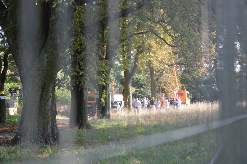 Mainz& Aus für Lesselallee - Franz: "Wir werden fällen" (Neu: Ablauf der Sitzung, Reaktionen) Aus für Lesselallee - Franz: "Wir werden fällen" (Neu: Ablauf der Sitzung, Reaktionen)