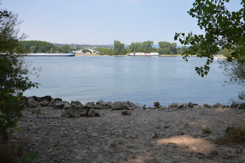 Mainz& Mombacher Rheinstrand: Überrannt und zugemüllt – Schilder sollen helfen Mombacher Rheinstrand: Überrannt und zugemüllt – Schilder sollen helfen
