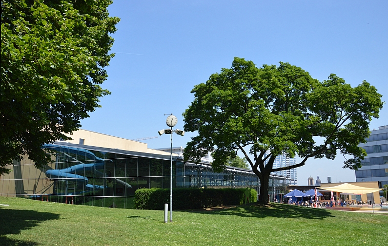 Mainz& Taubertsbergbad senkt Preise - Familientickets, Sonnensegel, Klettergerüst, grüner Rasen Taubertsbergbad senkt Preise - Familientickets, Sonnensegel, Klettergerüst, grüner Rasen