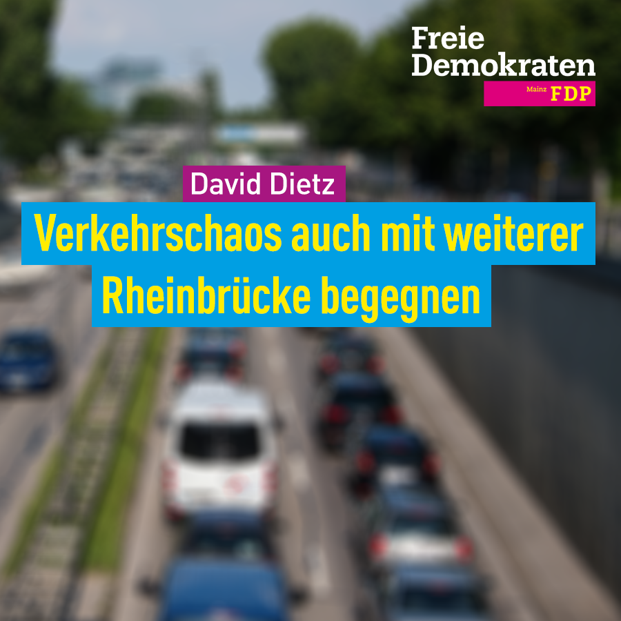 Mainz& Direktkandidaten zur Bundestagswahl 2017 in Mainz: 15 Fragen an David Dietz, FDP Direktkandidaten zur Bundestagswahl 2017 in Mainz: 15 Fragen an David Dietz, FDP