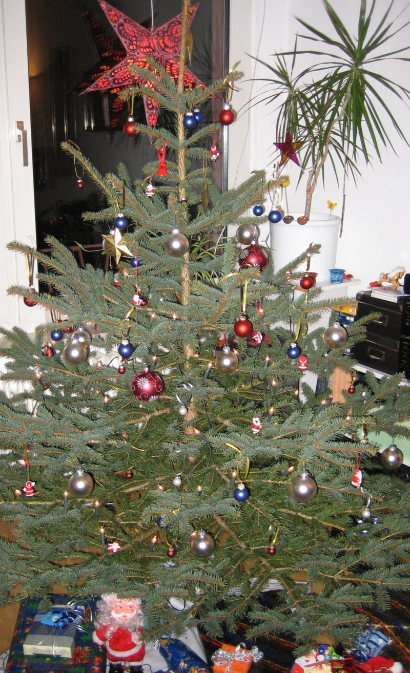 Mainz& Weihnachtsbäume zu drei Vierteln mit Pestiziden belastet - BUND findet auch Glyphosat und illegale Gifte Weihnachtsbäume zu drei Vierteln mit Pestiziden belastet - BUND findet auch Glyphosat und illegale Gifte