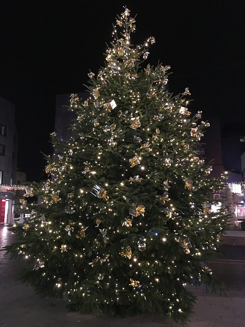 Mainz& Weihnachtsbäume: Abfuhr am Samstag, 12. Januar 2019 - Entsorgung auch auf Wertstoffhöfen Weihnachtsbäume: Abfuhr am Samstag, 12. Januar 2019 - Entsorgung auch auf Wertstoffhöfen