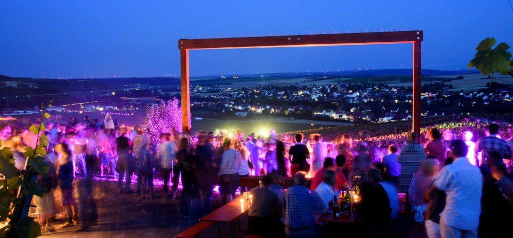 Wein im Wingert - Foto Silz