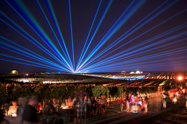 Mainz& Wein im Wingert mit grandioser Lasershow an der Nahe Wein im Wingert mit grandioser Lasershow an der Nahe