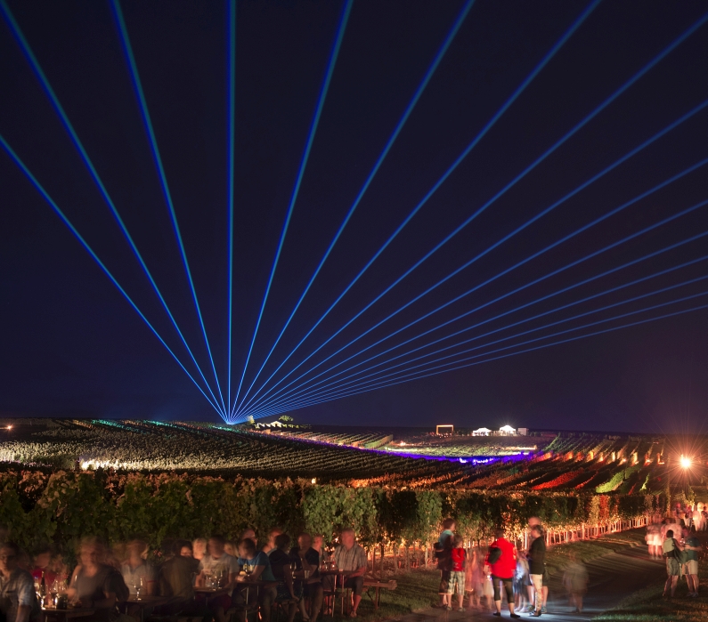 Mainz& Wein im Wingert mit grandioser Lasershow an der Nahe Wein im Wingert mit grandioser Lasershow an der Nahe