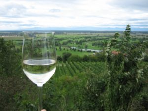 Mainz& Winzer alarmiert über Strafzölle der USA auf deutsche Weine - VDP fordert Hilfe - Trinkt mehr Riesling! Winzer alarmiert über Strafzölle der USA auf deutsche Weine - VDP fordert Hilfe - Trinkt mehr Riesling!