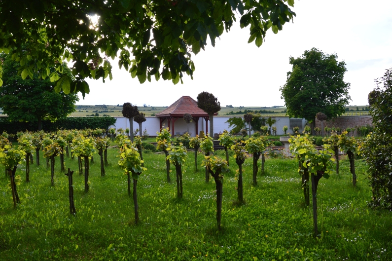Mainz& Mainz&-Reportage: Das Gefühl des Herrn Raumland für Champagner Mainz&-Reportage: Das Gefühl des Herrn Raumland für Champagner