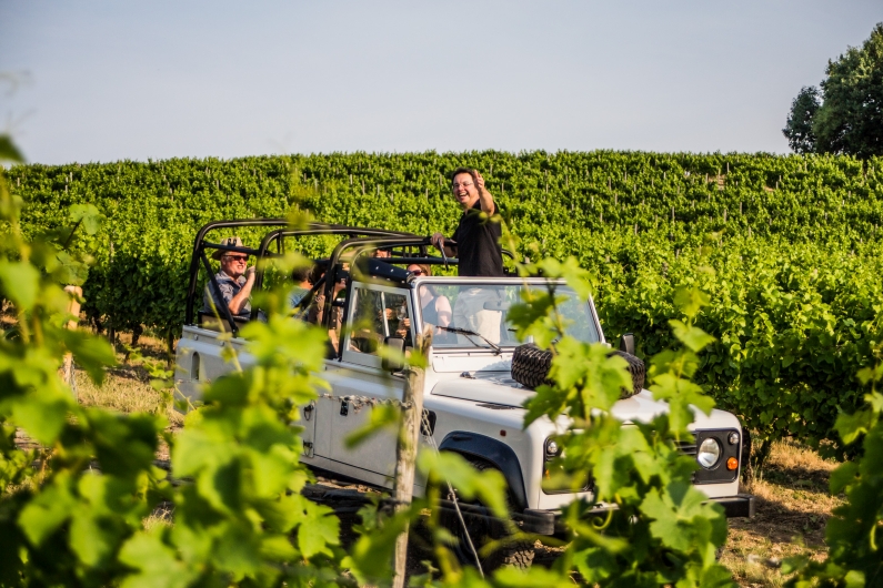 Mainz& GWC&: Auf Weinsafari zwischen den Weinreben - Winzer Andreas Mohr bietet ungewöhnliches Weinseminar GWC&: Auf Weinsafari zwischen den Weinreben - Winzer Andreas Mohr bietet ungewöhnliches Weinseminar