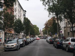 Mainz& Grünflächenoffensive: Mainzer Ampel-Koalition will mehr Bäume für die Stadt Grünflächenoffensive: Mainzer Ampel-Koalition will mehr Bäume für die Stadt