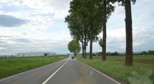 Mainz& Ampel-Koalition will Straßenbahnnetz in Mainz weiter ausbauen: Heiligkreuz, Alicenbrücke, Innenstadtring Ampel-Koalition will Straßenbahnnetz in Mainz weiter ausbauen: Heiligkreuz, Alicenbrücke, Innenstadtring