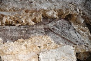 Mainz& Grab von Erzbischof Erkanbald? - Sarkophag aus dem frühen 11. Jahrhundert aus der Johanniskirche wird geöffnet Grab von Erzbischof Erkanbald? - Sarkophag aus dem frühen 11. Jahrhundert aus der Johanniskirche wird geöffnet
