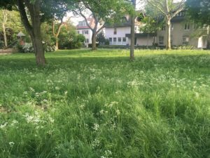 Mainz& Mehr Blüten in die Landwirtschaft - Zum Weltbienentag mahnen Experten Umdenken Mehr Blüten in die Landwirtschaft - Zum Weltbienentag mahnen Experten Umdenken