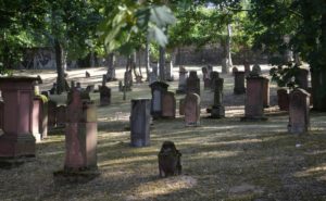 Mainz& Alter jüdischer Friedhof "Am Judensand" soll aufgewertet werden - Besucherzentrum und Zugang geplant Alter jüdischer Friedhof "Am Judensand" soll aufgewertet werden - Besucherzentrum und Zugang geplant