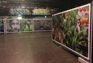 Mainz& Graffiti-Kunst auf Stromkästen: Mainzer Stadtwerke ließen 200 Kästen gestalten - Ausstellung bis 27.9. Graffiti-Kunst auf Stromkästen: Mainzer Stadtwerke ließen 200 Kästen gestalten - Ausstellung bis 27.9.