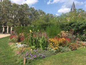 Mainz& Nicht gießen! Mainzer Stadtwerke bitten: Verzichtet auf Gartenbewässerung am Dienstag - Bauarbeiten an Wasserleitung Nicht gießen! Mainzer Stadtwerke bitten: Verzichtet auf Gartenbewässerung am Dienstag - Bauarbeiten an Wasserleitung