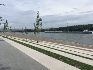Mainz& Südmole: War Wegerecht für Binnenschiffer Grund für Steinwüste? - Bürgerfest zur Eröffnung am Samstag, 21.09. Südmole: War Wegerecht für Binnenschiffer Grund für Steinwüste? - Bürgerfest zur Eröffnung am Samstag, 21.09.