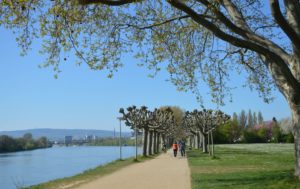 Mainz& Drei Fahrrad-Professuren für Hessen - Wiesbaden und Frankfurt erforschen Zukunft des Radverkehrs Drei Fahrrad-Professuren für Hessen - Wiesbaden und Frankfurt erforschen Zukunft des Radverkehrs