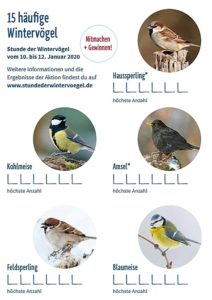 Zählhilfe für die "Stunde der Wintervögel" des NABU 2020. - Screenshot: gik