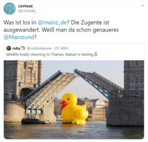 Mainz& Mainzer Zugente nach London geflüchtet? - Gelbe Ente unter London Bridge löst Fragen nach Coronavirus bei Ente aus Mainzer Zugente nach London geflüchtet? - Gelbe Ente unter London Bridge löst Fragen nach Coronavirus bei Ente aus