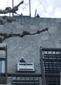 Mainz& Mainz& exklusiv: SGD Süd stoppt Arbeiten am Mainzer Rathaus: "Gravierende Mängel bei Absicherung" Mainz& exklusiv: SGD Süd stoppt Arbeiten am Mainzer Rathaus: "Gravierende Mängel bei Absicherung"