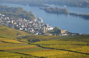Mainz& Online-Petition will Brücke für Fußgänger und Radfahrer zwischen Bingen und Rüdesheim Online-Petition will Brücke für Fußgänger und Radfahrer zwischen Bingen und Rüdesheim